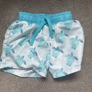 Caden Lane Turtle swim trunks